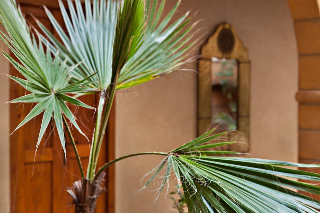 Riad Chbanate Essaouira Buitenkant foto